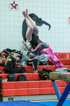Moon Invitational - bars and beam (425 of 499)