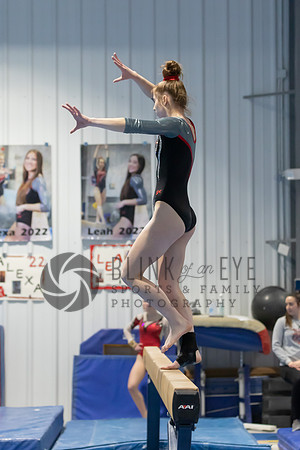 Balance Beam (54 of 213)