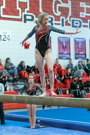 Moon Invitational - bars and beam (408 of 499)