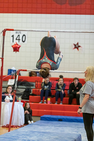 Moon Invitational - bars and beam (79 of 499)