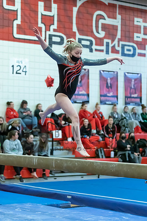 Moon Invitational - bars and beam (475 of 499)
