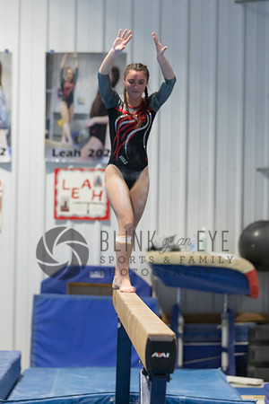 Balance Beam (134 of 213)