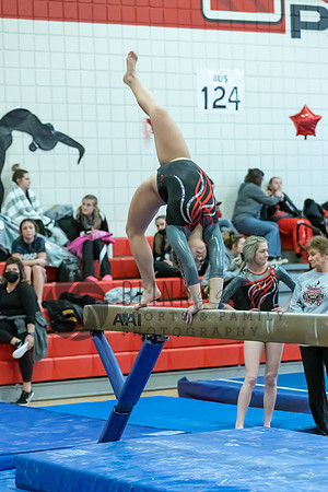 Moon Invitational - bars and beam (346 of 499)