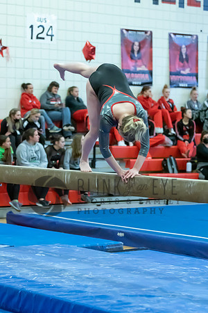 Moon Invitational - bars and beam (466 of 499)