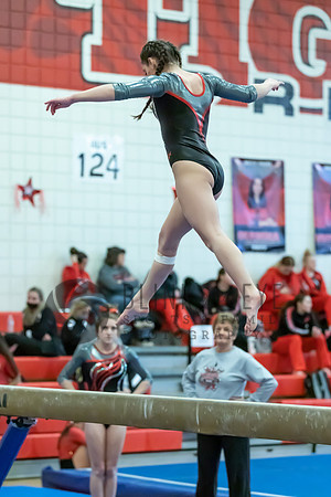 Moon Invitational - bars and beam (390 of 499)