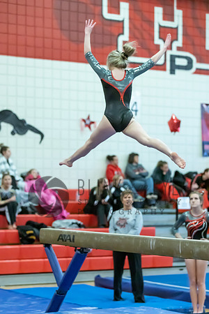 Moon Invitational - bars and beam (420 of 499)