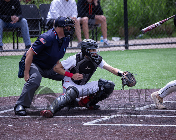 PIAA Quarterfinals (68 of 218)