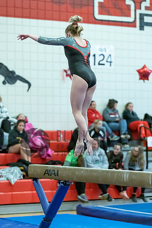 Moon Invitational - bars and beam (483 of 499)