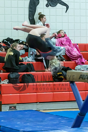 Moon Invitational - bars and beam (426 of 499)