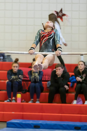 Moon Invitational - bars and beam (42 of 499)