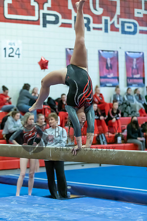 Moon Invitational - bars and beam (351 of 499)