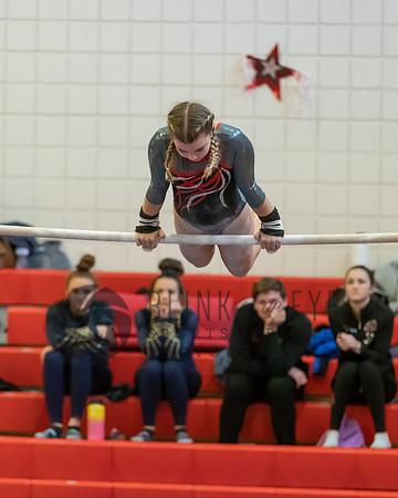 Moon Invitational - bars and beam (43 of 499)