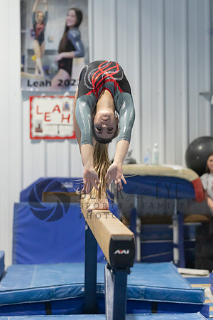 Balance Beam (38 of 213)