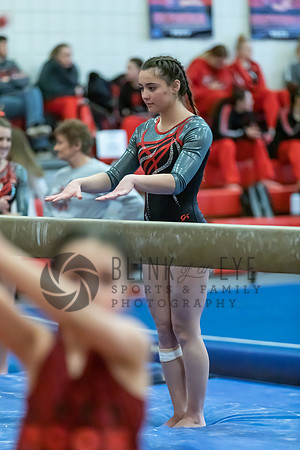 Moon Invitational - bars and beam (376 of 499)