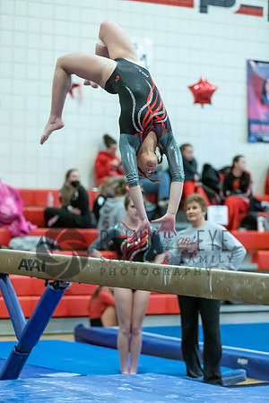 Moon Invitational - bars and beam (382 of 499)