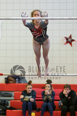 Moon Invitational - bars and beam (91 of 499)