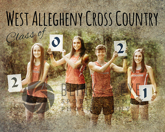 Cross Country Seniors