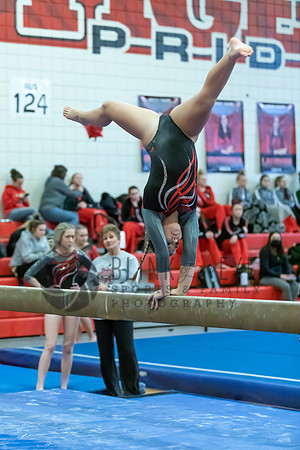 Moon Invitational - bars and beam (352 of 499)
