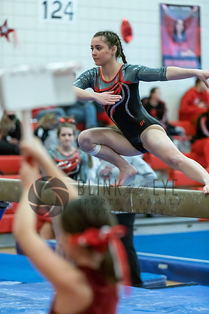 Moon Invitational - bars and beam (377 of 499)