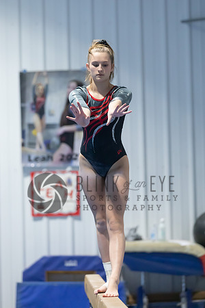 Balance Beam (9 of 213)