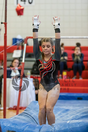 Moon Invitational - bars and beam (58 of 499)