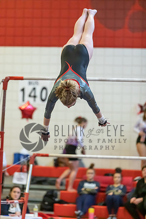 Moon Invitational - bars and beam (146 of 499)