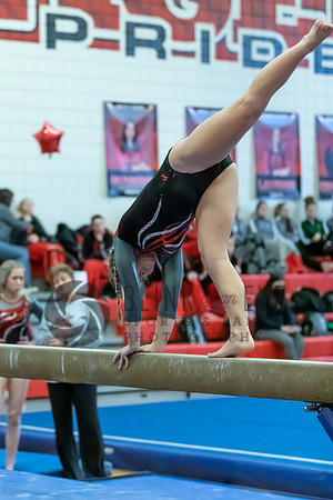 Moon Invitational - bars and beam (355 of 499)