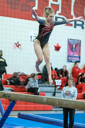 Moon Invitational - bars and beam (302 of 499)
